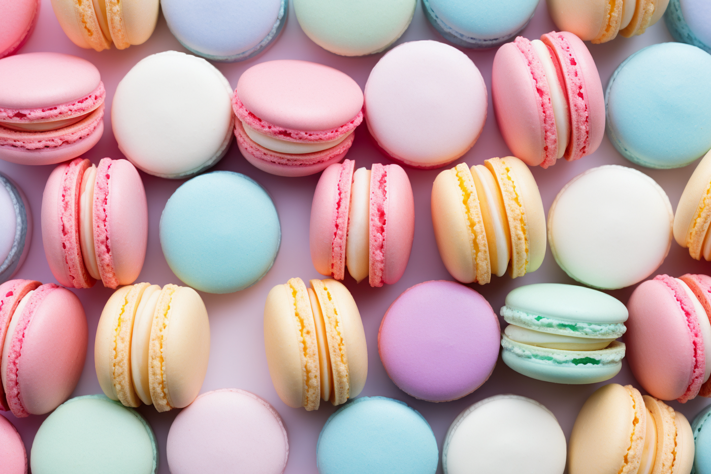 coques de macarons aux amandes, lisses et brillantes avec une collerette, garnies d'une crème colorée.