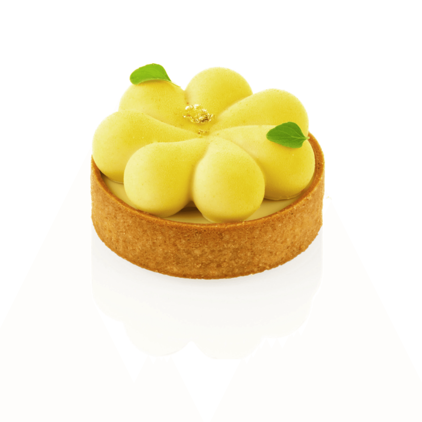 KIT 3D Tarte Ring BLOSSOM ø70mm