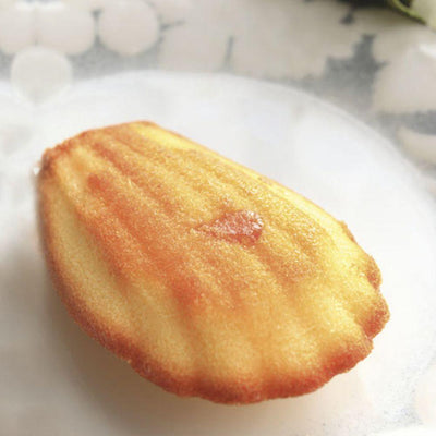 Moule 44 Madeleines - Patissland